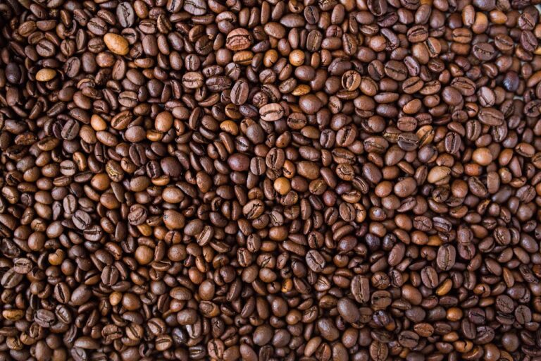 Sustainable Sourcing in the Food Industry