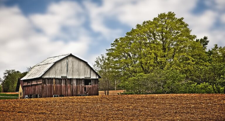 Metal Roofing: Resilience Against Climate Change Impacts: Allpaanel, Laser247.com login, Betbook247 login