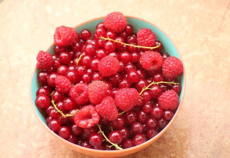 Trends in Gourmet Foods in Grocery Retail: Betbhai9 whatsapp number, Play exch.in, Lotus365.win new id